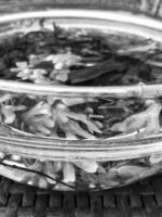 madsen-madsen-IMG_0458