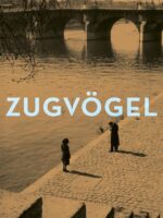 Iwan-Heilbut-Zugvögel